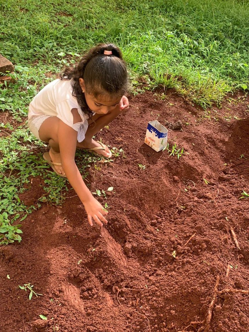 Creche de Engenheiro Coelho faz horta comunitária para ensinar cooperativismo aos alunos