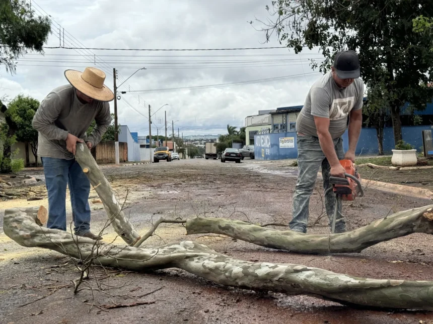 Prefeitura de Engenheiro Coelho e Equipes de Segurança Pública Agem Rapidamente Após Tempestade