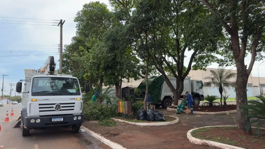 Prefeitura intensifica poda de árvores em vias públicas e praças para garantir mais segurança durante o período de chuvas