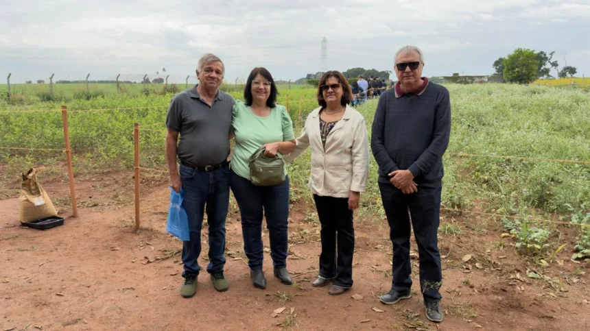Secretaria de Agricultura participa de evento técnico sobre culturas de cobertura